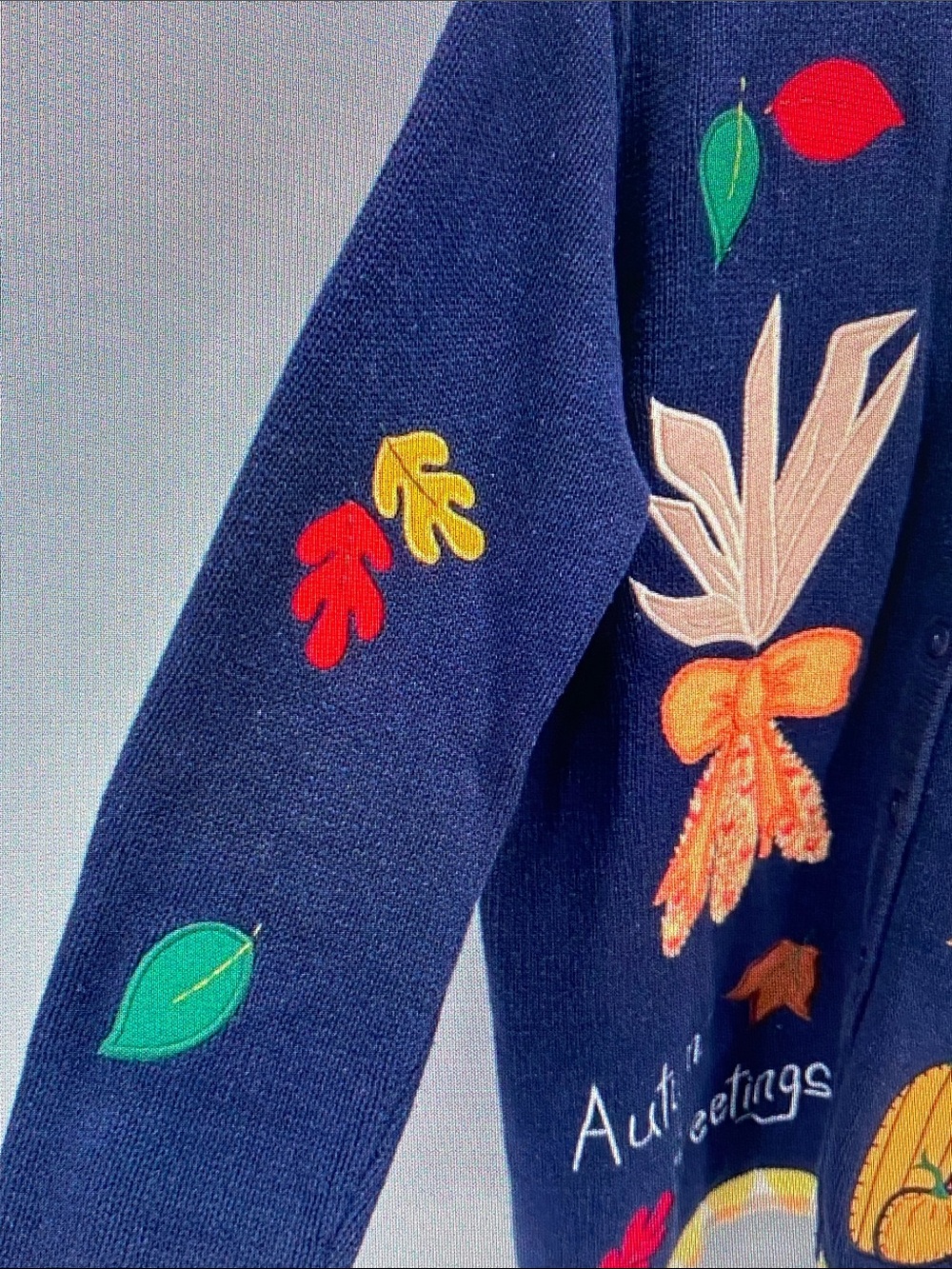 Quacker Factory Navy Cardigan with Multicolor Autumn Appliqués - Picture 4 of 8